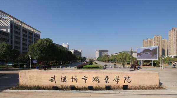 武汉城市职业学院能升本科学校吗？